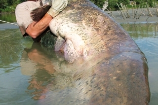 Súboj v delte Po 2